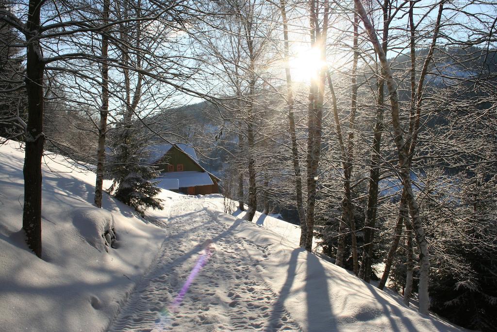 Penzion Pampeliska Pec pod Snezkou Exterior foto